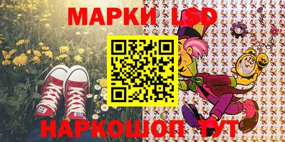 стафф Бугуруслан